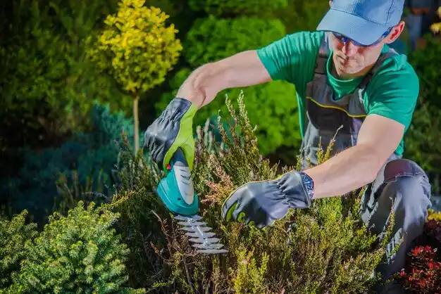 landscaping services Easthampton